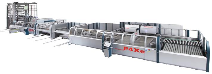 линия salvagniny