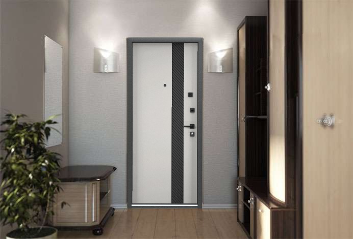 Дверь Super Omega PRO в интерьере