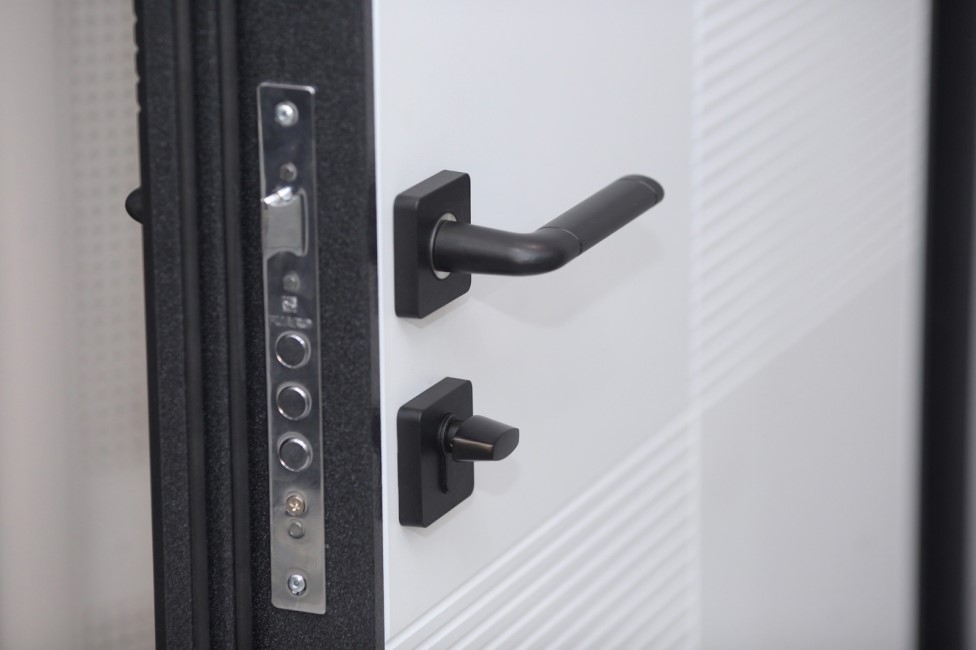 Замковая система входной двери Torex